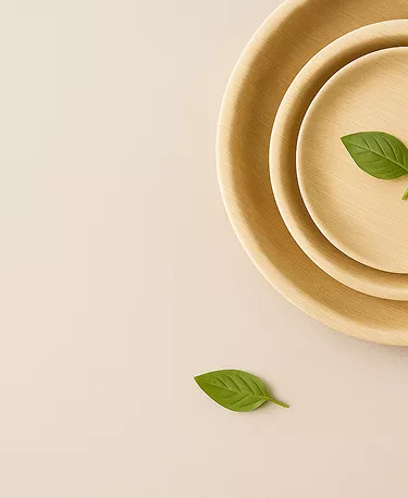 Eco-friendly areca leaf tableware hero background